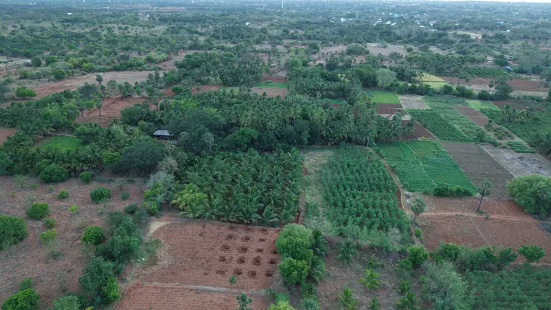 Aerial view of cultivated plots, coconut groves and orchards laid out across the Thamizhoor estate
