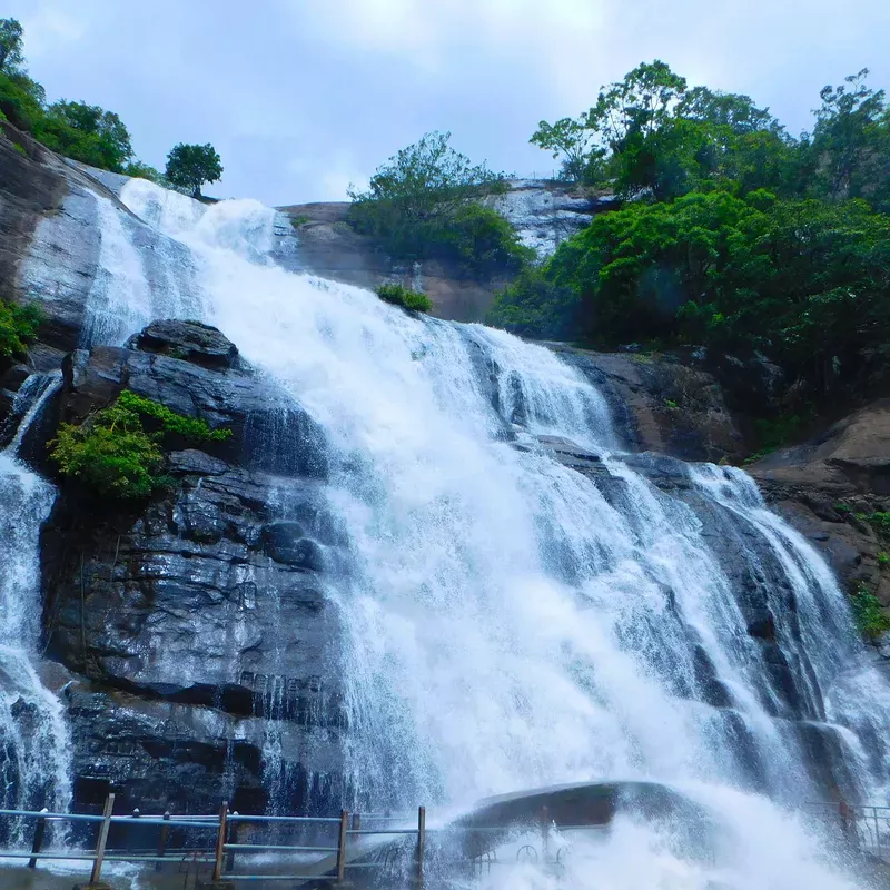 Waterfall at a scenic spot near the Thamizhoor estate